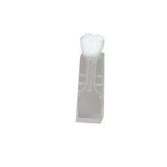 Root Canal Block JG-YS2-SG