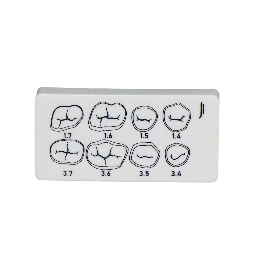 3-Layer Resin Tooth Preparation Practice Board | Jinglemed