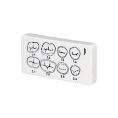3-Layer Resin Tooth Preparation Practice Board | Jinglemed