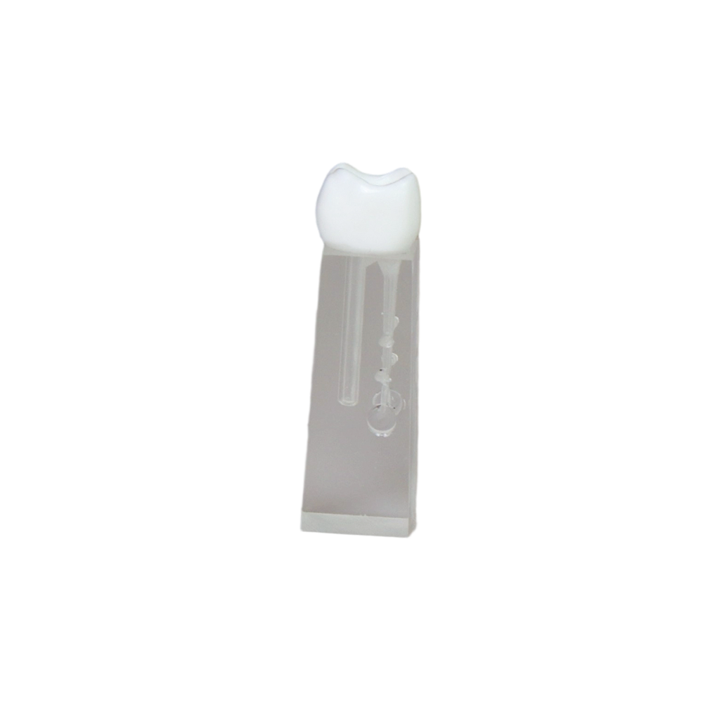 Root Canal Block JG-YS2-SG