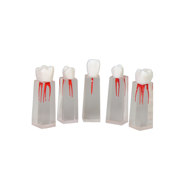 Root Canal Block JG-YS3
