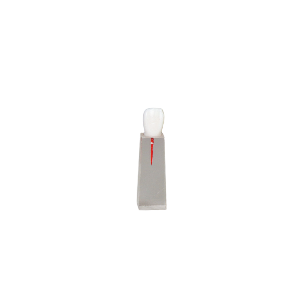 Root Canal Block JG-YS3