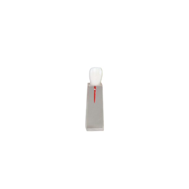 Root Canal Block JG-YS3