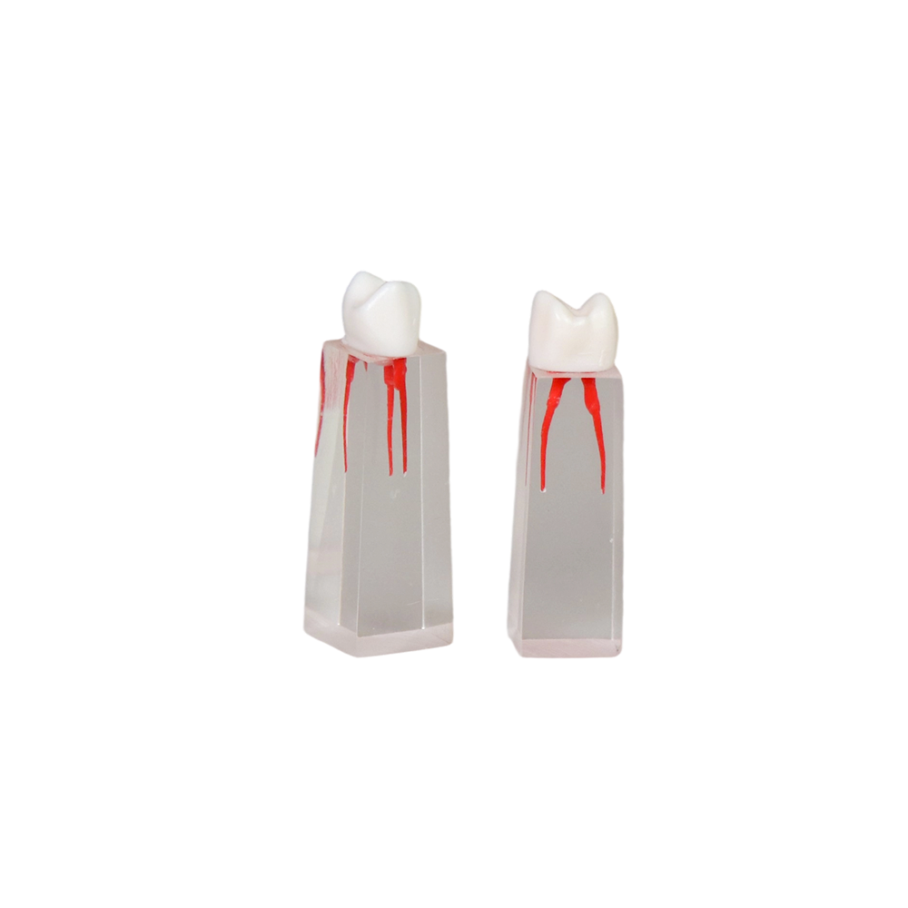 Root Canal Block JG-YS3