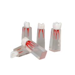 Root Canal Block JG-YS3