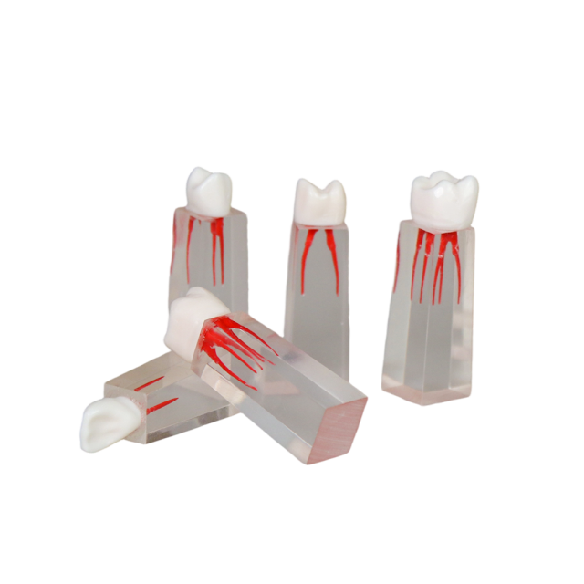 Root Canal Block JG-YS3