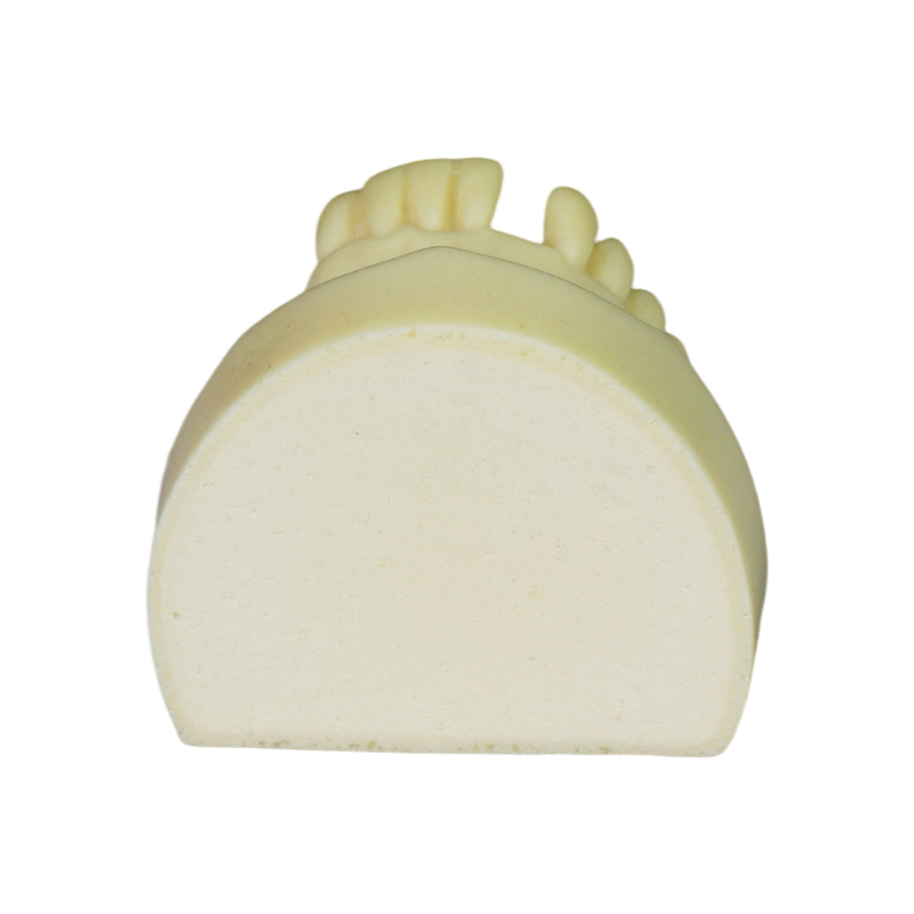 Implant Model