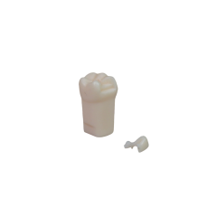 Adjacent Surface Inlay Refill Teeth for Dental Typodont | Jinglemed