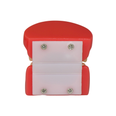 Orthodontic Demonstration Model | Malocclusion Dental Model for Patient Communication
