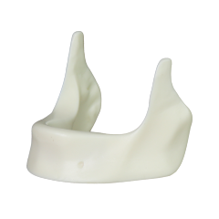 Mandibular Dental Implant Model – Hard Resin for Implant Practice JG-Y12-Y
