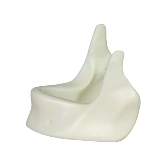 Mandibular Dental Implant Model – Hard Resin for Implant Practice JG-Y12-Y