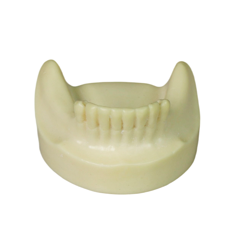 Dental Implant Training Model – Hard Resin with Soft Gum for Implant Practice JG-Y8-F1-6
