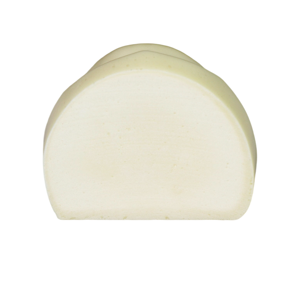 Dental Implant Training Model – Hard Resin with Soft Gum for Implant Practice JG-Y8-F1-5