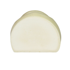Dental Implant Training Model – Hard Resin with Soft Gum for Implant Practice JG-Y8-F1-5