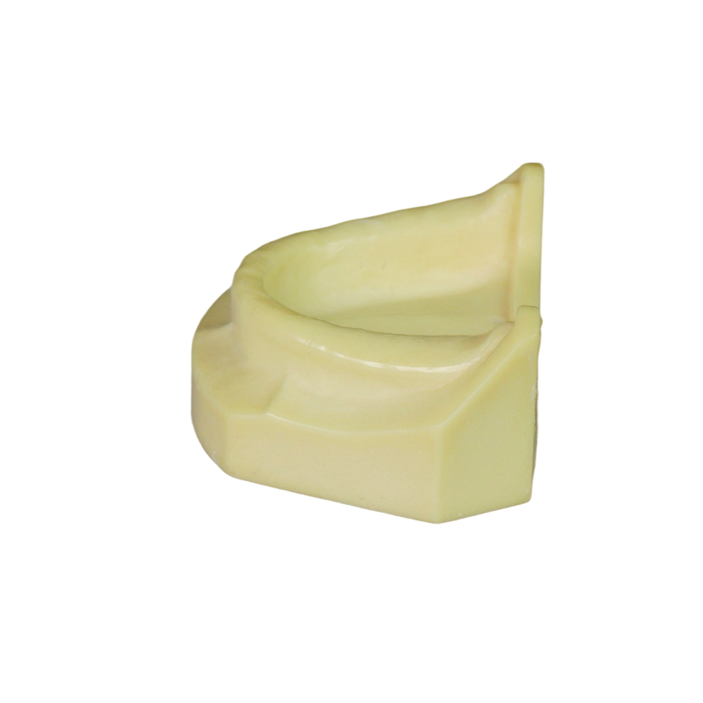 Dental Implant Training Model – Hard Resin with Soft Gum for Implant Practice JG-Y8-F1-9
