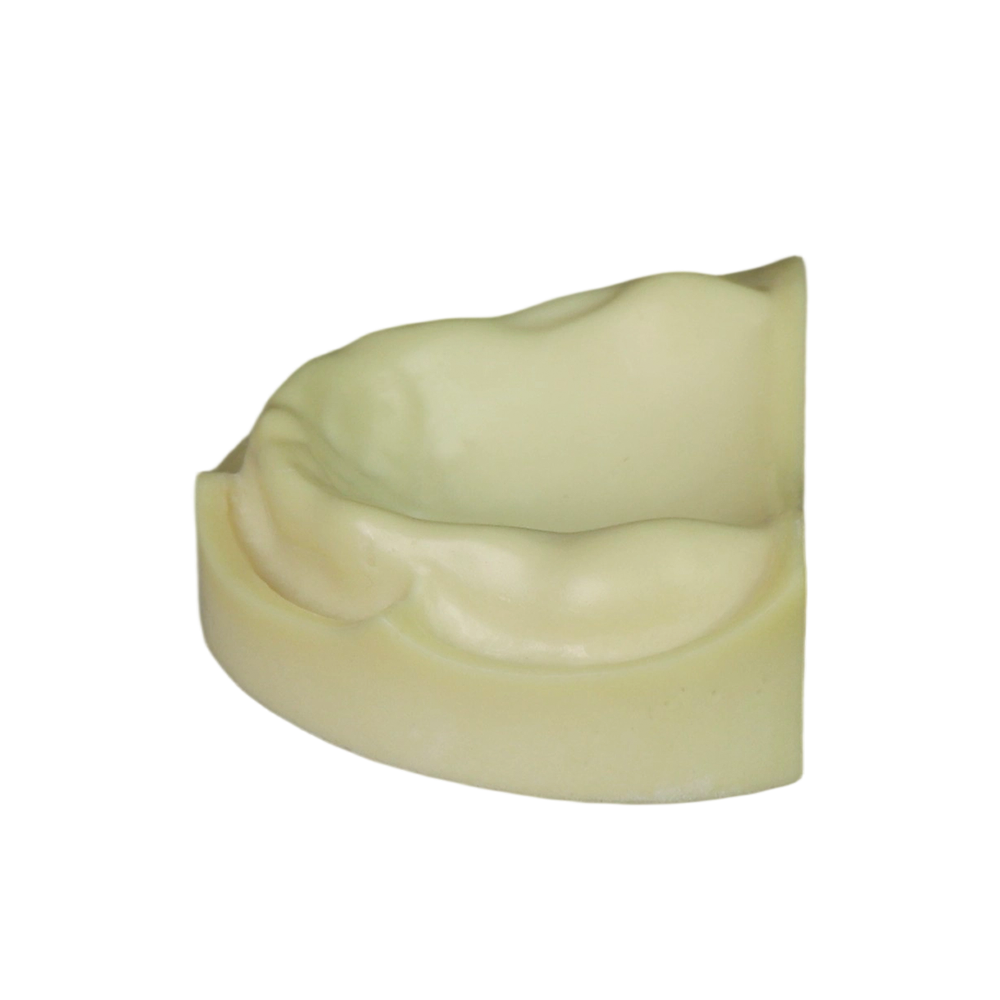 Dental Implant Training Model – Hard Resin with Soft Gum for Implant Practice JG-Y8-F1-10