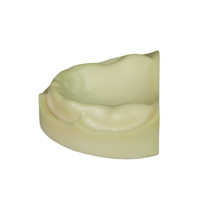 Dental Implant Training Model – Hard Resin with Soft Gum for Implant Practice JG-Y8-F1-10