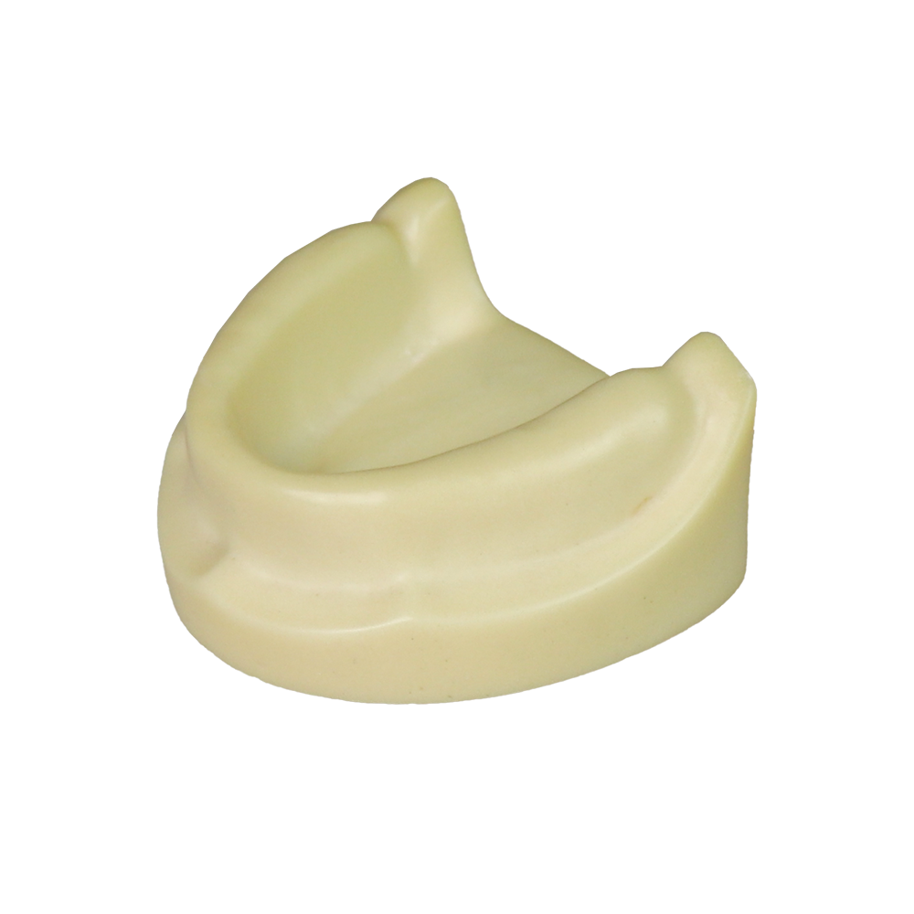 Dental Implant Training Model – Hard Resin with Soft Gum for Implant Practice JG-Y8-F1-5