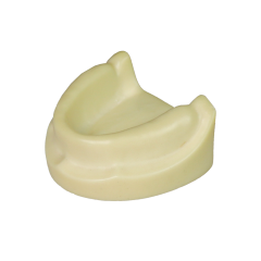 Dental Implant Training Model – Hard Resin with Soft Gum for Implant Practice JG-Y8-F1-5