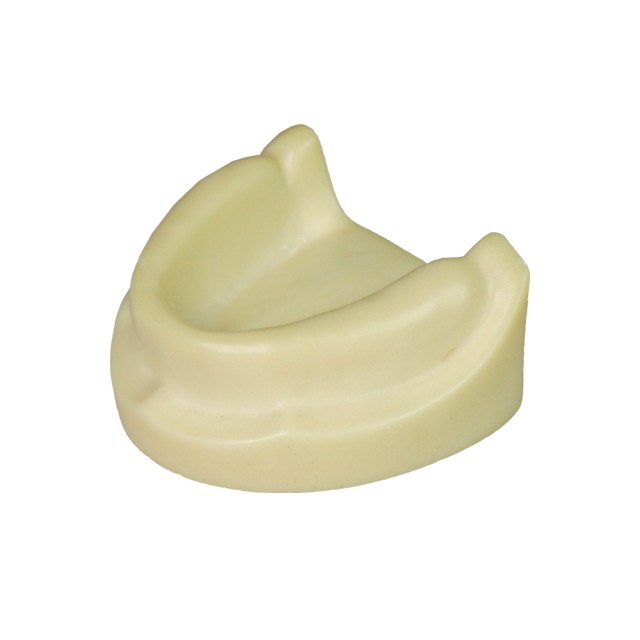 Dental Implant Training Model – Hard Resin with Soft Gum for Implant Practice JG-Y8-F1-5