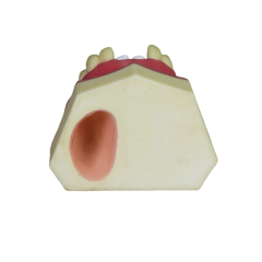 Sinus Lift Dental Model – Hard Resin with Soft Gums for Maxillary Sinus Training JG-Y8-F5