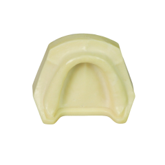 Dental Implant Training Model – Hard Resin with Soft Gum for Implant Practice JG-Y8-F1-9