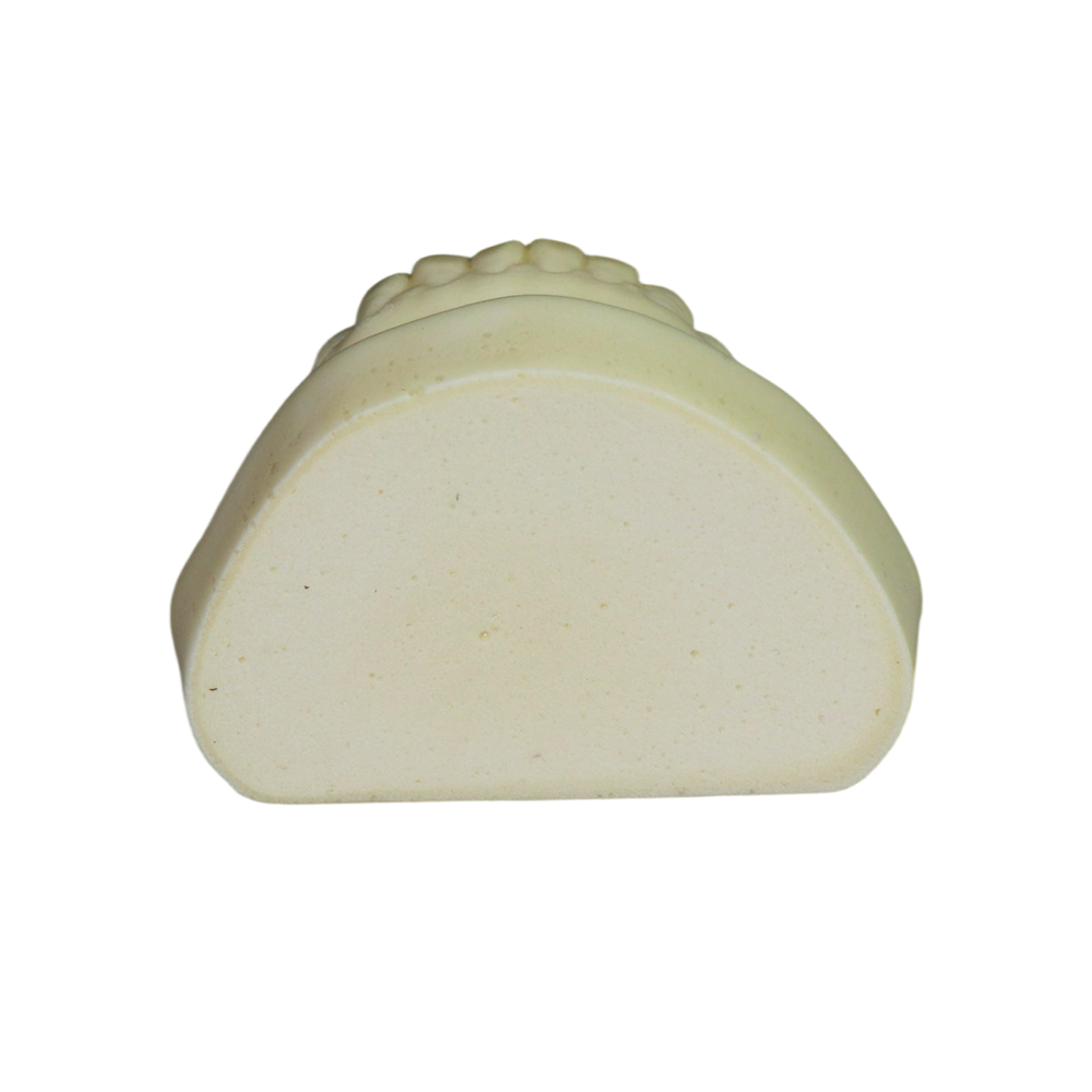 Dental Implant Model – D2 Soft Resin with Gums for Implant Training JG-Y8-F9