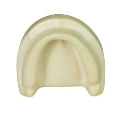 Dental Implant Training Model – Hard Resin with Soft Gum for Implant Practice JG-Y8-F1-5