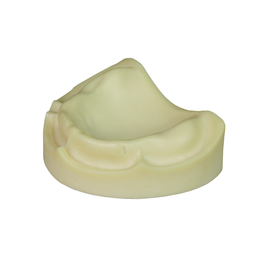 Dental Implant Training Model – Hard Resin with Soft Gum for Implant Practice JG-Y8-F1-10