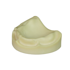 Dental Implant Training Model – Hard Resin with Soft Gum for Implant Practice JG-Y8-F1-10