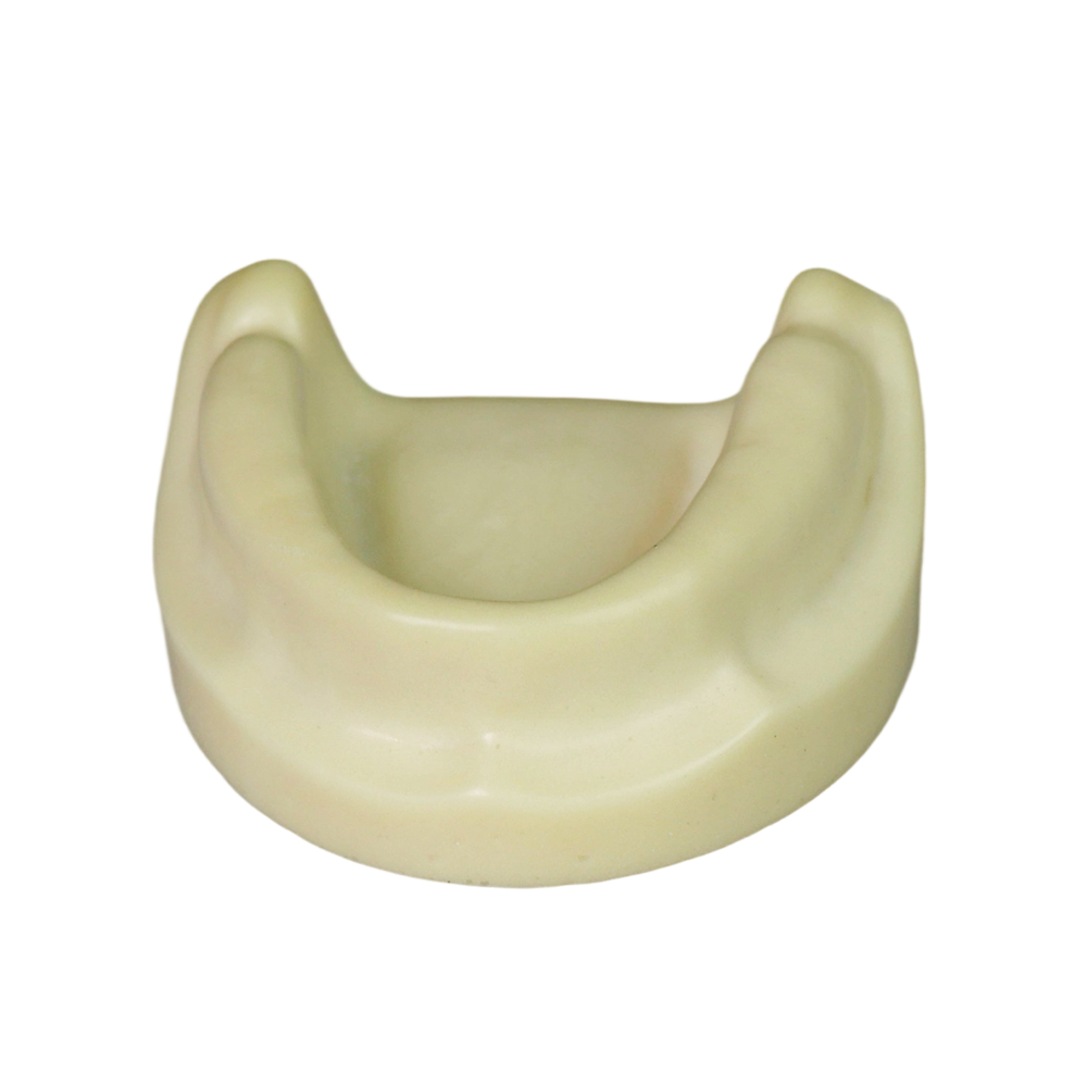 Dental Implant Training Model – Hard Resin with Soft Gum for Implant Practice JG-Y8-F1-5