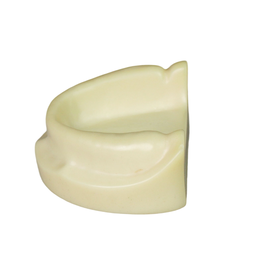 Dental Implant Training Model – Hard Resin with Soft Gum for Implant Practice JG-Y8-F1-5