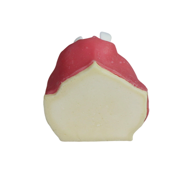 Fast Implant Dental Model – Soft Resin and Soft Gums for Implant Training JG-Y26-2