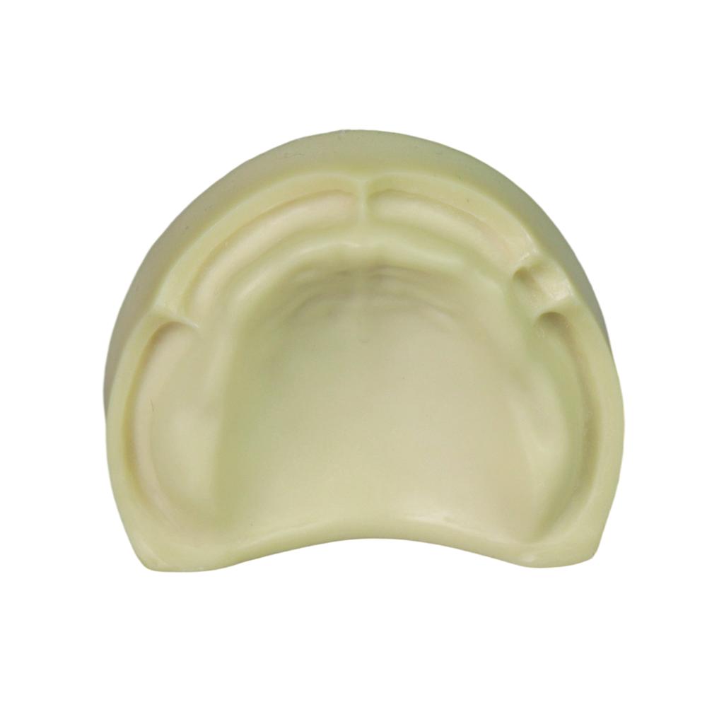 Dental Implant Training Model – Hard Resin with Soft Gum for Implant Practice JG-Y8-F1-10