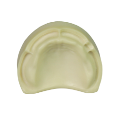 Dental Implant Training Model – Hard Resin with Soft Gum for Implant Practice JG-Y8-F1-10