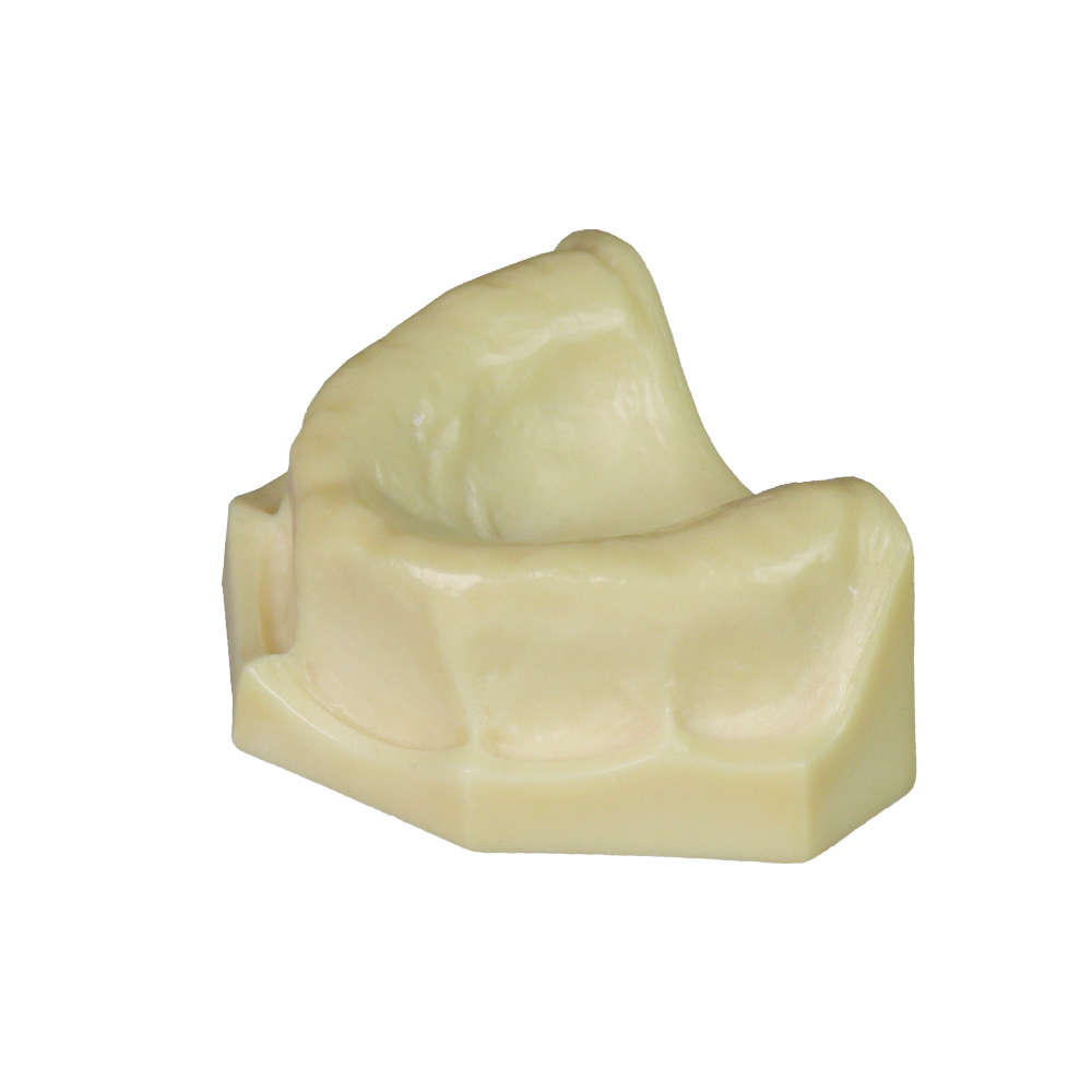 Dental Implant Training Model – Hard Resin with Soft Gum for Implant Practice JG-Y8-F1-3