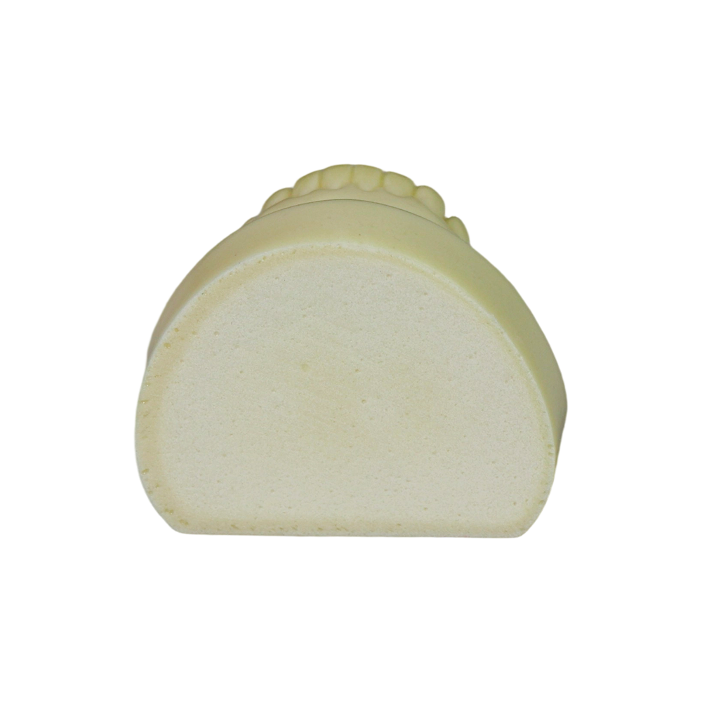 Dental Implant Model – D2 Soft Resin with Gums for Implant Training JG-Y8-F1-3