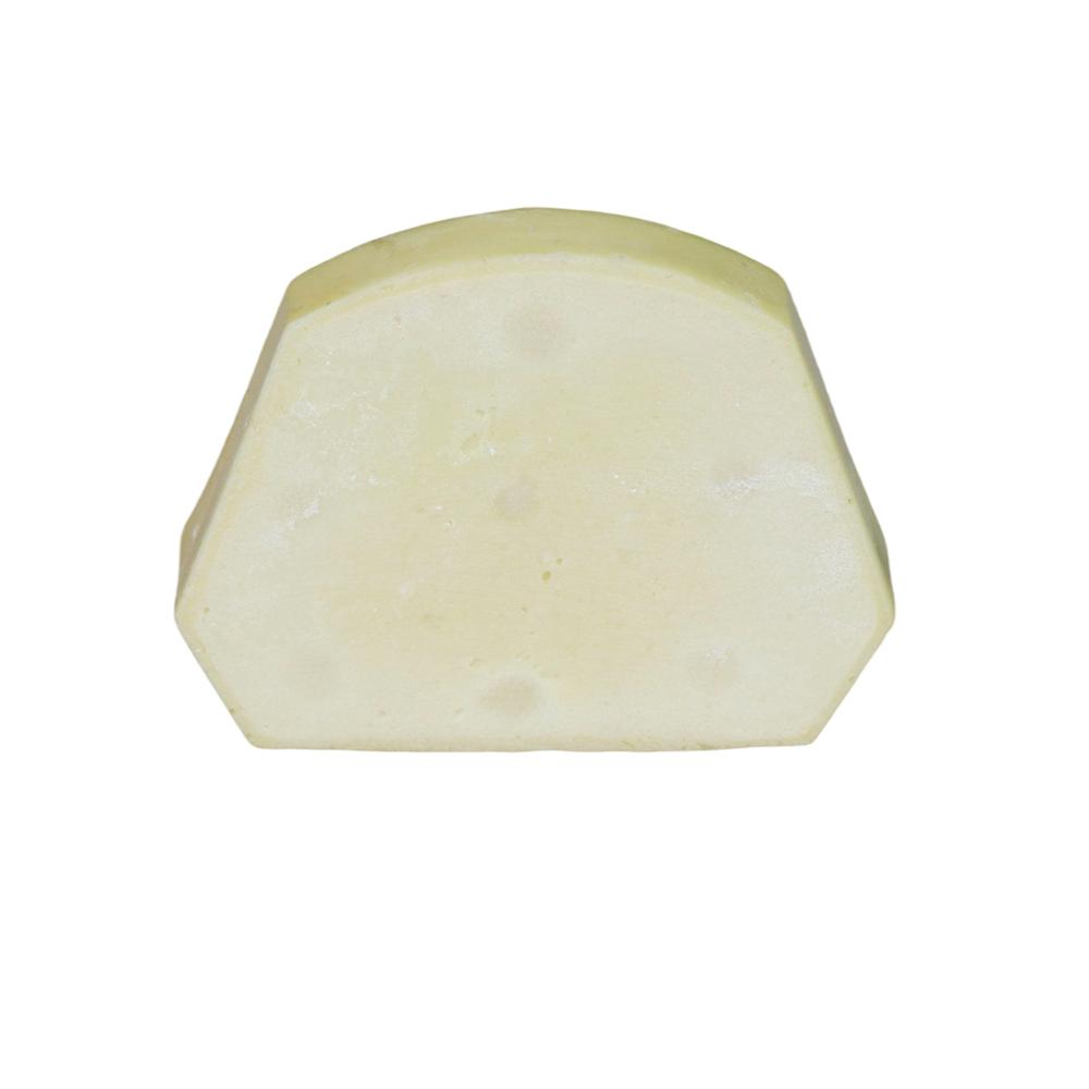 Dental Implant Training Model – Hard Resin with Soft Gum for Implant Practice JG-Y8-F1-9