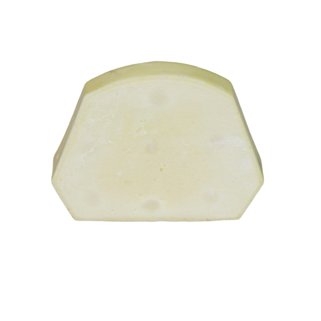 Dental Implant Training Model – Hard Resin with Soft Gum for Implant Practice JG-Y8-F1-9