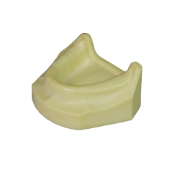 Dental Implant Training Model – Hard Resin with Soft Gum for Implant Practice JG-Y8-F1-9