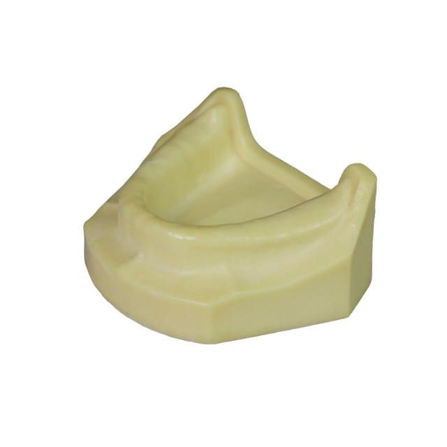 Dental Implant Training Model – Hard Resin with Soft Gum for Implant Practice JG-Y8-F1-9