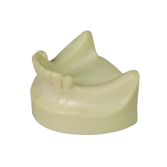 Dental Implant Training Model – Hard Resin with Soft Gum for Implant Practice JG-Y8-F1-6