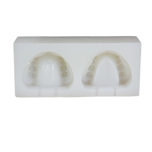 Soft Silicone Dental Mold – 28 Teeth Full Dentition with Metal Plate for Head Model