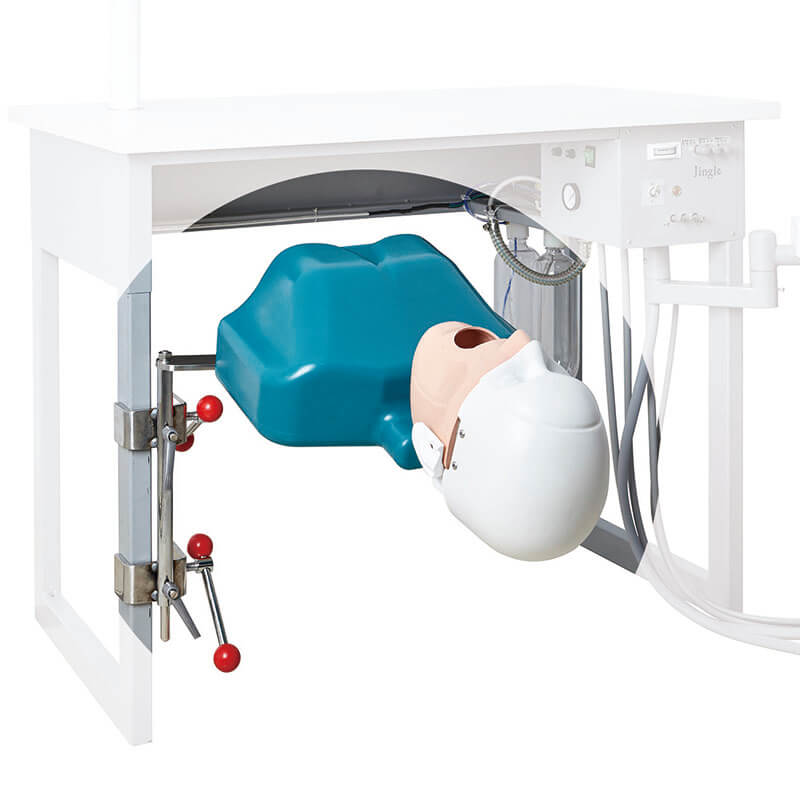 dental phantom head with typodont teeth for preclinical dental school training