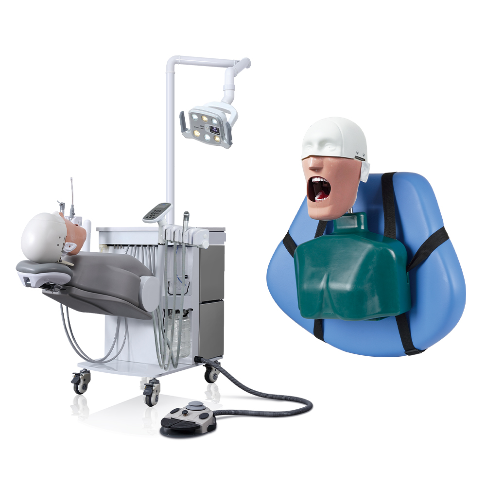 phantom head vs dental simulator comparison &mdash; dental training equipment