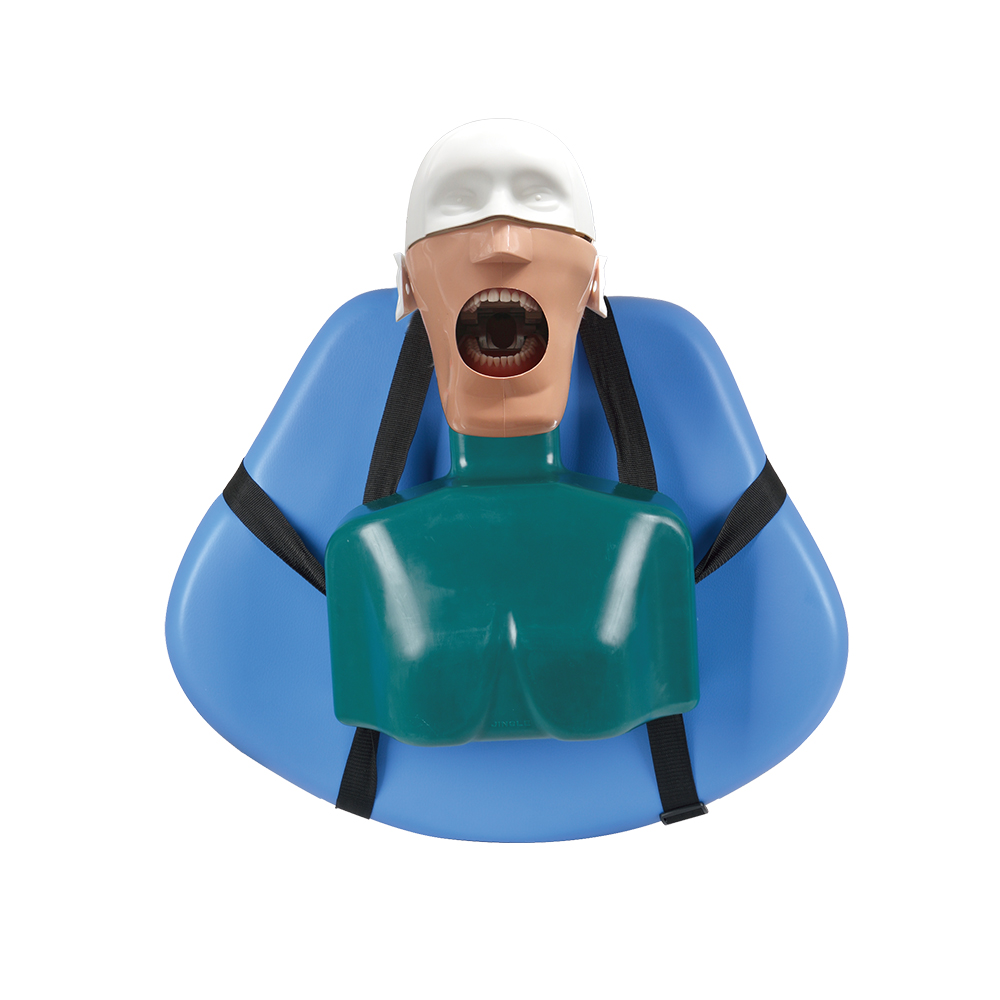standalone phantom head with typodont teeth on bench mount &mdash; dental training manikin