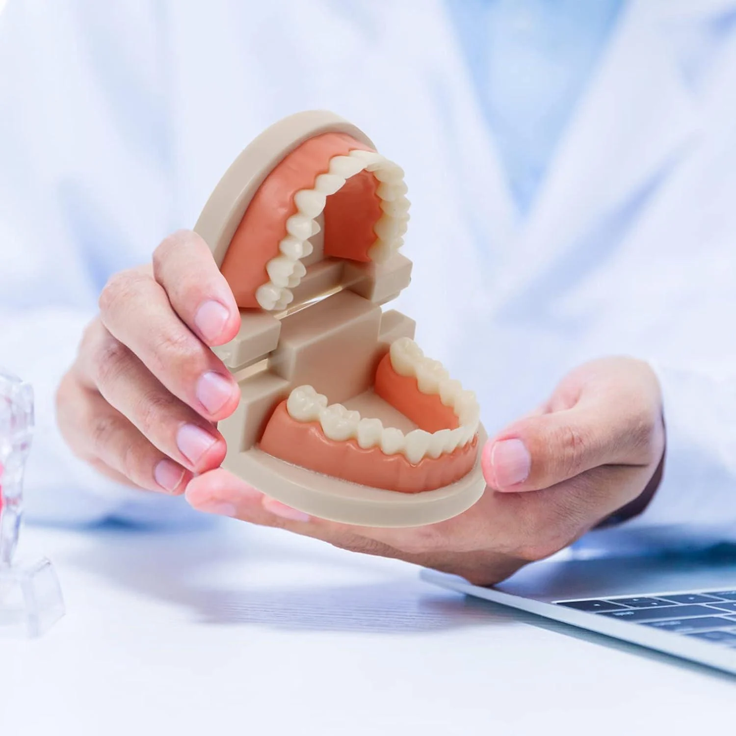 melamine typodont teeth &mdash; high fidelity dental training teeth for cavity and crown prep