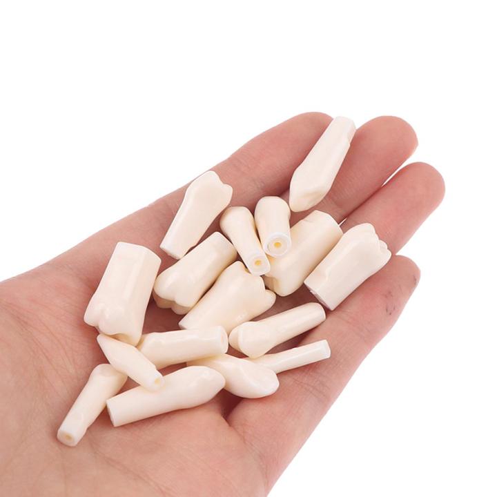 resin typodont teeth in phantom head &mdash; economical dental training teeth