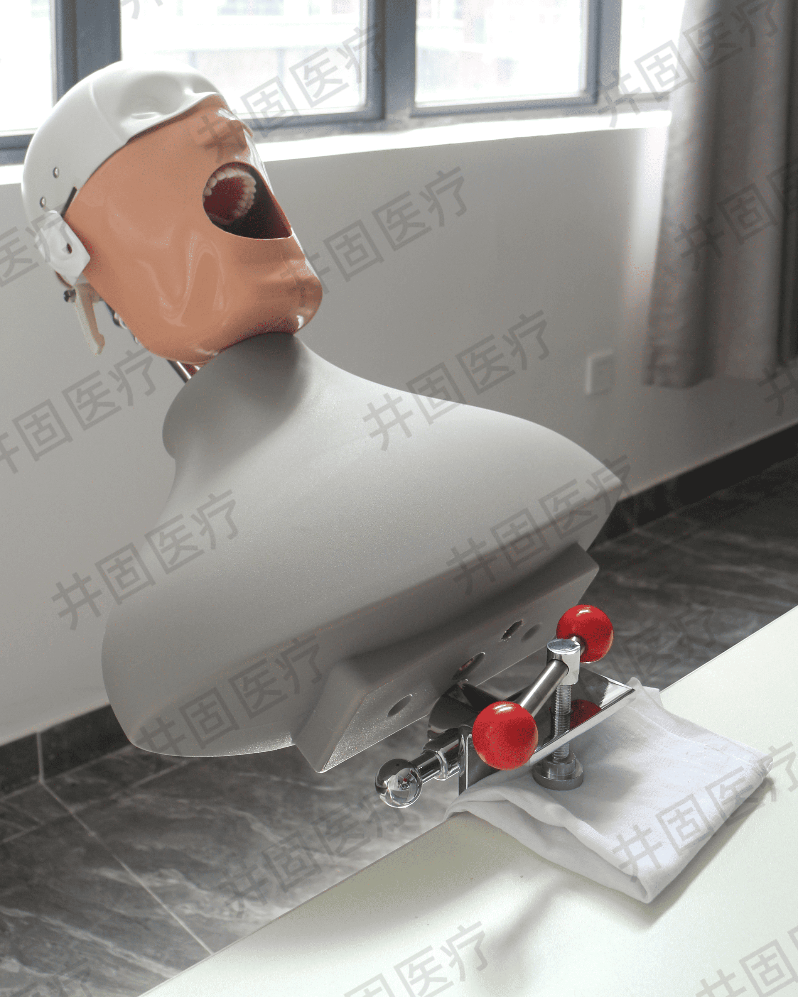 bench-mounted phantom head clamped to a lab desk for skills training