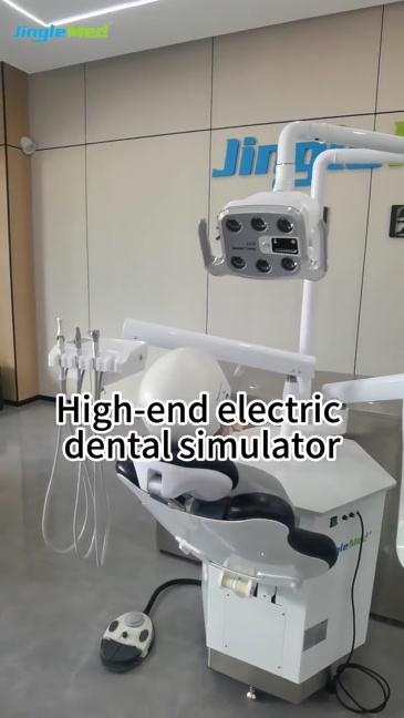 Doctor-Assistant Dental Simulator – JG-A12-D